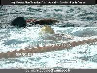 17515 photo